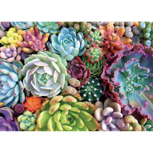 500/1000/1200/2000PCS Puzzle for Succulent Plant Jigsaw Puzzles for Gameroom Bedroom Livingroom Challenging Family Activity Game