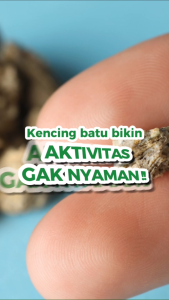 NATURAFIT Renathib - Obat Herbal Ginjal Untuk Meluruhkan Batu Urin di Ginjal & Saluran Kemih Tanpa Operasi Supplement untuk Memperbaiki Kesehatan Ginjal Membersihkan Ginjal & Saluran Kemih