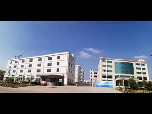 <1105> Weiheng Genuine Goods New Pear-Shaped Portable Electronic Scale Electronic Scale Spring Scale Package Express Scale Scale 50kg