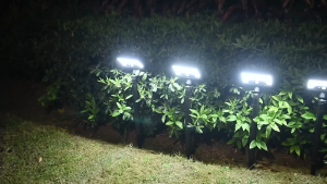 Ledpathway Lights 92 LED Waterproof Pathway Lights Ideal For Garden Yard Sidewalk