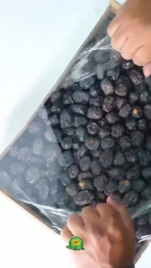 Kurma Ajwa 1Kg Premium Organic Jumbo | Kurma Nabi | Original Madinah/Saudi Arabia | Super Grade A