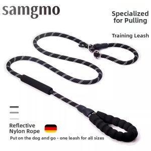 Blast Control P-Chain Dog Leash