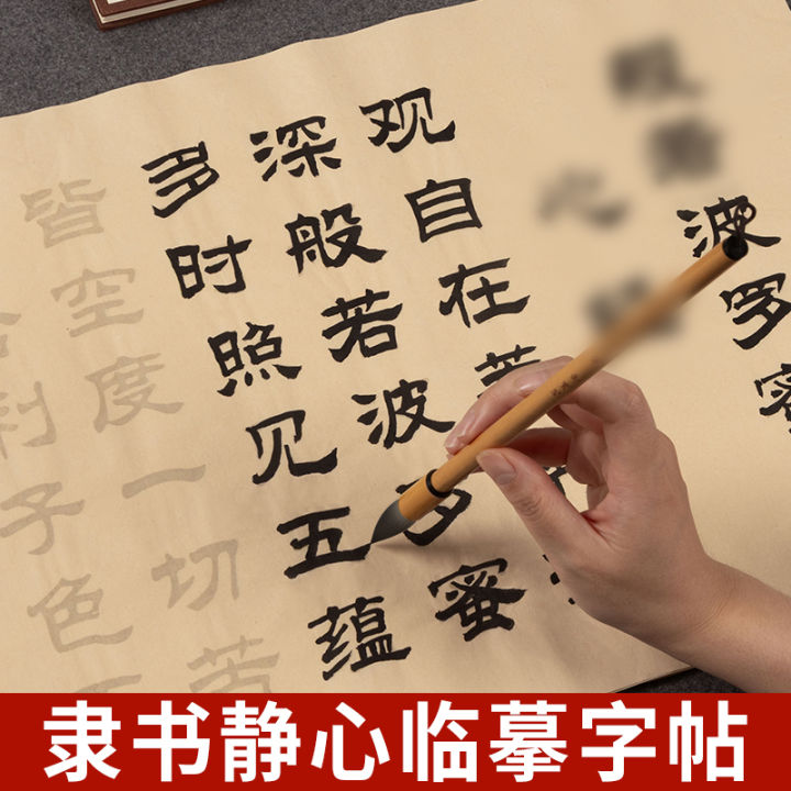 Adult Calligraphy Practice Set Beginner Kit Regular Script Brush ...