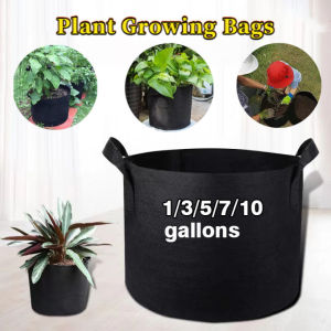 1-7 Gallon Big Plant Flower Grow Bags Pot Home Garden Tools Potato Strawberry Fabric Vegetable Jardin Gardening Growing Pots