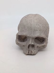 Hiasan Aquarium Tengkorak kepala Tulakir Fiberglass Hiding Cave skull Aquascape HIASAN Ornamen Miniatur Aquarium Dekorasi Aquascape