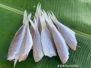 ปลาจวดแดงแดดเดียว1กิโลกรัม