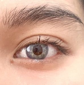 SOFTLENS SWEET DNA BOLLYCON TAYLOR GRAY 14.5mm