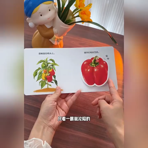 【SG Stock】幼儿食育翻翻书美味水果蔬菜认知宝宝绘本3-6岁儿童启蒙早教书籍 Kids Fruit Veg Flap Educational Board Book