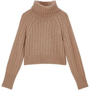 SOLWEIGE | SOLWEIGE Heavyweight Wool Knit Short Sweater High Neck Thickened Autumn Winter Warm Skin-friendly Commute Style Polyester Fiber