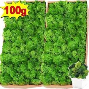 100g Green Artificial Moss for Simulation Eternal Life Moss Grass Potted Plant for Home Garden Decor Mini Landscape DIY Crafts Gift