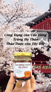 Cao Đông Trùng Hạ Thảo - Trà Thảo Dược Tây Bắc (Lọ 100ml)