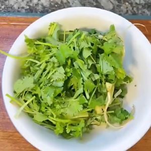 Homemade Coriander Leaves Chopped Green Onion Dried Garlic Sprouts Instant Noodle Companion Garnishes Chopped and Dried Chives Dehydrated Vegetable Bag