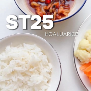 [Siêu Sale] Combo 10kg Gạo ST25 Hoa Lúa dẻo mềm thơm ngon (túi 5kg)