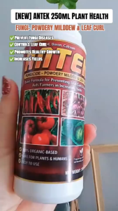 [BUY 1 GET 1] Antek Organic Fertilizer 250ml for Healthy Leaf & Root Growth Suitable for Fruit Trees Vegetables & More
