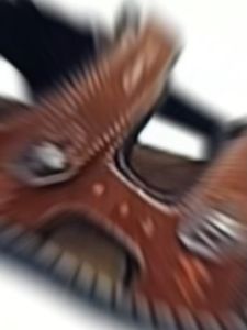 Deblu รองเท้าแตะรัดส้นเพื่อสุขภาพ ยี่ห้อ Deblu รุ่น M808S