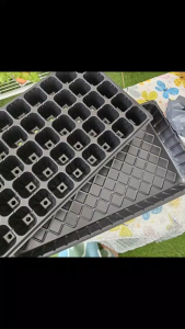 Plastic Seedling Tray  Bekas Semaian Dulang Semaian 21 50 128 200 Holes 塑料育苗穴盆