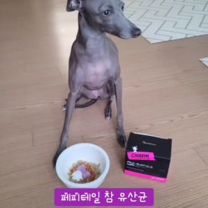 ชาร์มอาหารเสริมผงโพรไบโอติกสำหรับสุนัขจุลินทรีย์ดี12สายพันธุ์ - ลดการท้องเสีย และขับถ่ายไม่ปกติ