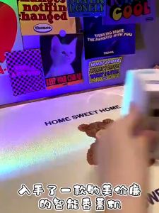 Pengharum Ruangan Wangi Buah: Reed Diffuser Tahan Lama & Penyegar Udara