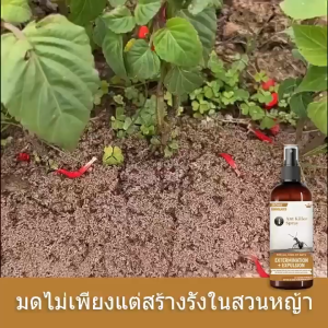 CROWN ยาฆ่ามด กําจัดปลวก ยาฆ่าปลวก ฆ่ามดทุกชนิด ยาไล่มด สเปรย์ฉีดมด ยาฉีดมดในบ้าน กำจัดมดในบ้าน มดตาย สูตรพืชธรรมชาติ