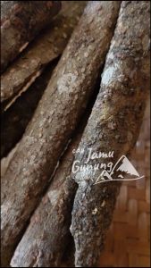 Asli Hutan!! Kulit Kayu Krangean 50gr / Kilemo / Lemo Kering Organik