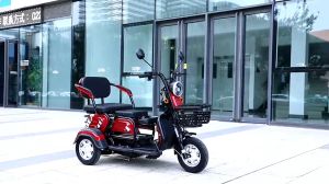 พร้อมส่งจากไทย!QiaoGuan รถไฟฟ้าผู้ใหญ่3ล้อ สามล้อไฟฟ้า 1000W แบตเตจรี 48V/20Aแบต electric trike รถไฟฟ้า 3 ล้อ ประกอบให้99% ไฟหน้า-หลังLED