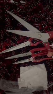 Kéo tỉa cành kéo cắt tỉa cành size lớn và size nhỏ làm cành