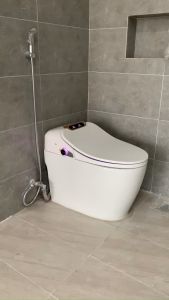 BỒN CẦU   BỆT THÔNG MINH MẮT THẦN GB Q09