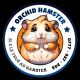 Orchid Hamster (Sỉ & Lẻ)