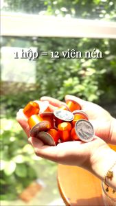 (Hộp 12 viên) Cà phê viên nén GAIA BREAKFAST | Hương Chocolate/Caramel đắng đậm | Gaia Cafe | Dùng cho máy Nespresso®
