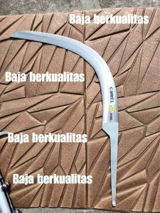 egrek camel original import