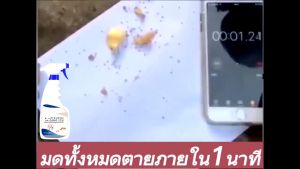 ยากำจัดมด ยาฆ่าปลวก กำจัดปลวก ยาปลวก 500ml ได้ผล100% เหมาะสำหรับมดทุกชนิด