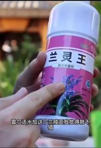 💗🙋‍♀️💗兰灵王兰花营养液525ml/瓶兰花君子兰肥料生根催芽EM菌液微生物菌