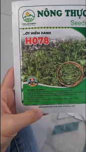 Hạt Giống Ớt Hiểm (Xiêm) Xanh H078 NÔNG THỰC (Gói 5gr) - Trái nhỏ dài 4-5cm vỏ bóng thịt dày ăn cay thơm