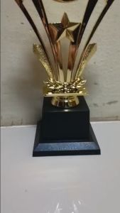 Universal Star Plastic Gold Trophy Height 22cm (Customize Available)