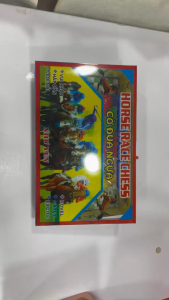 Bộ Cờ Đua Ngựa