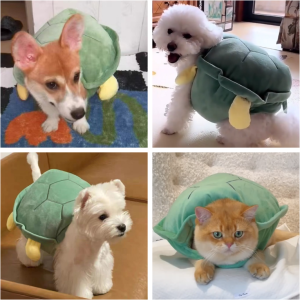 Turtle Shell Pet Vest Pomeranian York Corgi/French Bulldog Bichon Teddy Pug Labrador Funny Clothes