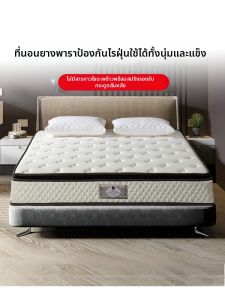 FUANNA (富安娜) | Nệm Lò Xo Chống Ký Sinh Trùng Cứng Có Sợi Dừa Hỗ Trợ Cột Sống