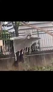 Đồ Trang Trí Halloween Hình Đầu Lâu Kinh Dị Dạng Biến Đổi Dùng Ngoài Trời Trang Trí Quán Bar Nhà Ma Chất Liệu Vải Không Dệt Hình Hoạt Hình Đồ Trang Trí Tiệc Halloween