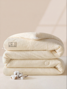 Thickened Cotton Quilt for Winter Single Dormitory