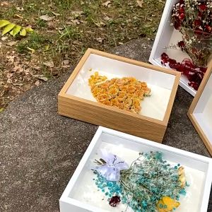 5cm Flower Frame Shadow Box DIY Transparent Glass Transparent Wooden Shadow Flower Frame Hollow Art Box
