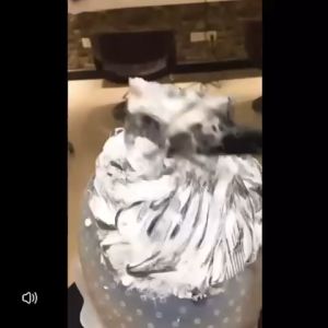 Magicap Highlighting Dye Cap Hook Silicone Cap Hair Coloring Hat