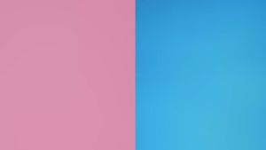 ERHA Gentle Acne Facial Wash 100g - Sabun Pembersih Wajah Jerawat + BHA Sulfur