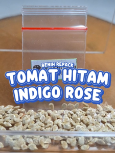 Benih Tomat Hitam Indigo Rose Unggulan Berkualitas biji bibit repack tomato black ungu hydroponik hidroponik sayur sayuran tanaman berbiji pot