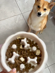 การฝึกอาหารช้าชามข้าวสุนัขกิน เล่น เผา ในชามเดียว การฝึกอาหารช้าชามข้าวสุนัขช่วยลดอาการหายใจไม่ออก ชามฝึกกินช้าชามอาหารสัตว์เลี้ยง