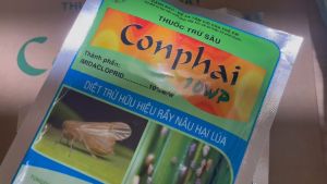 Thuốc Trừ Rầy - Rệp COMPHAI 10WP (Gói 100G)