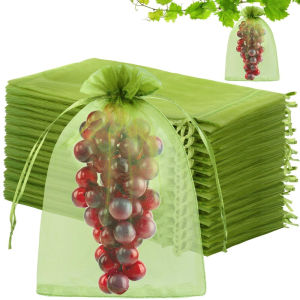 50Pcs Fruit Protection Netting Bags: A Comprehensive Guide