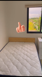 EURAKE Ergonomic Mattress Breathable Mattress Knitted Fabric Mattress High Resilience Foam Mattress