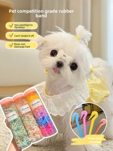 VOA | Pet Dog Hair Ties for Maltese and Yorkshire Terriers