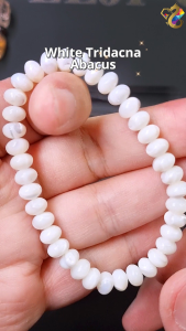 Collection Grade White Tridacna Abacus Bracelet