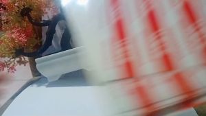 Stiker pipi merah putih ISI 25 PCS Tempelan pipi bendera TERMURAH Sticker HUT RI 17 Agustus